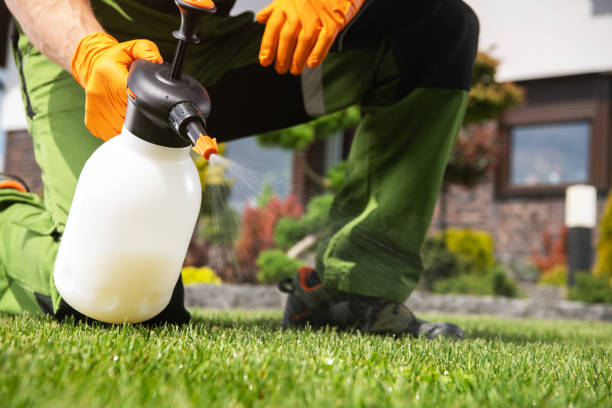 Best Bed Bug Extermination  in Nicholson, MS