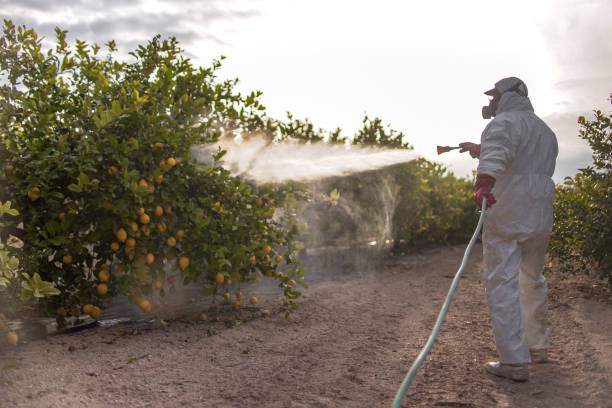 Best Pest Prevention Services  in Nicholson, MS