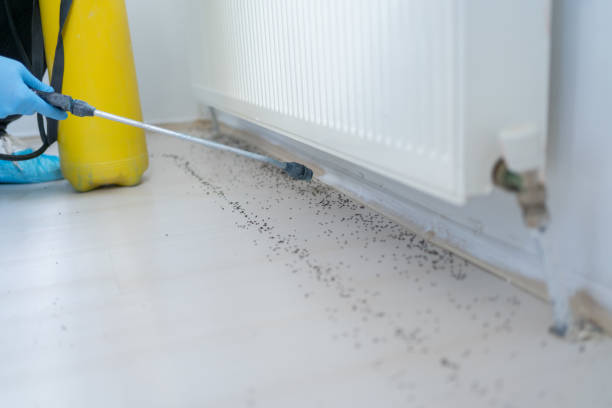Best Termite Control Services  in Nicholson, MS