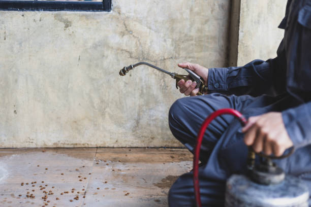 Best Cockroach Control Services  in Nicholson, MS